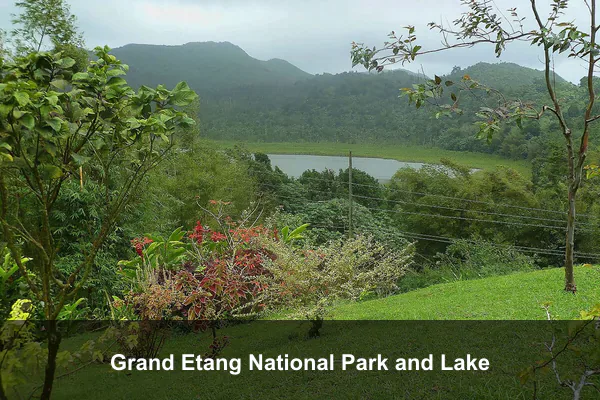 Grand Etang National Park and Lake
