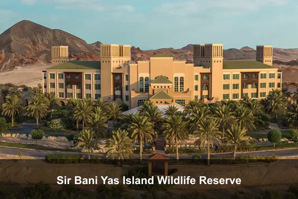 Sir Bani Yas Island Wildlife Reserve