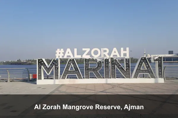 Al Zorah Mangrove Reserve, Ajman