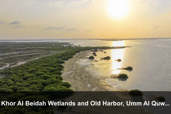 Khor Al Beidah Wetlands and Old Harbor, Umm Al Quwain