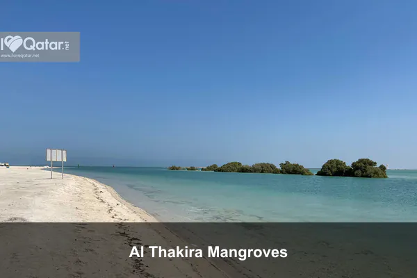 Al Thakira Mangroves