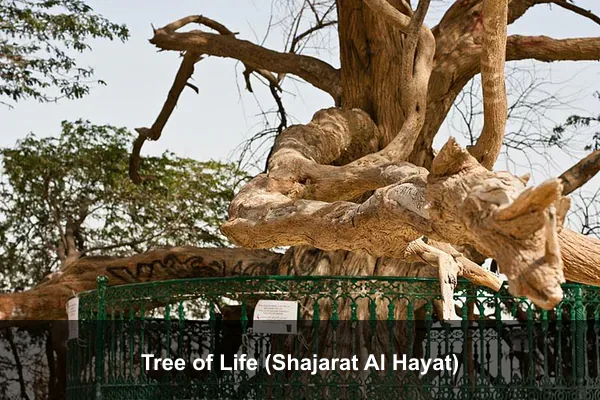 Tree of Life (Shajarat Al Hayat)