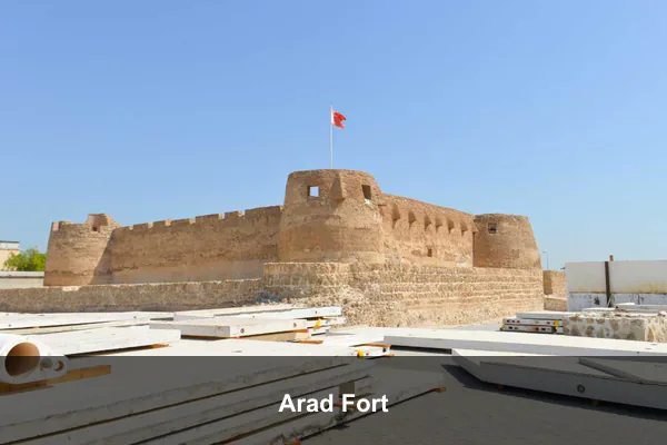 Arad Fort