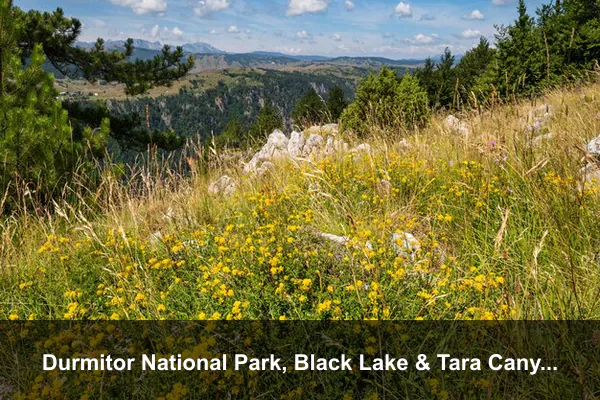Durmitor National Park, Black Lake & Tara Canyon
