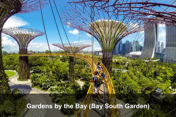 Gardens by the Bay (Bay South Garden)