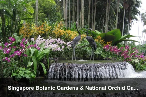 Singapore Botanic Gardens & National Orchid Garden