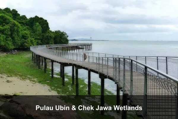 Pulau Ubin & Chek Jawa Wetlands
