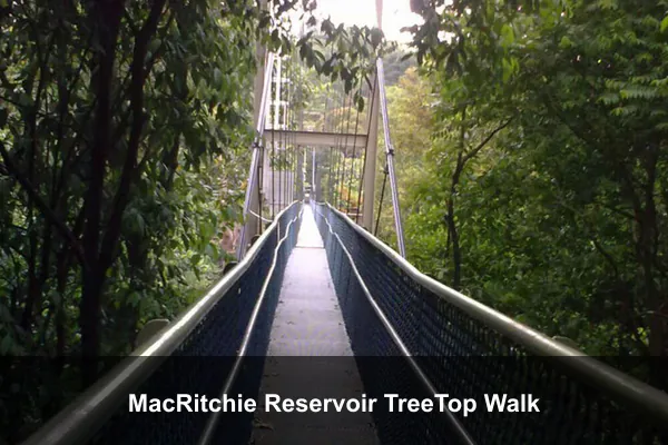 MacRitchie Reservoir TreeTop Walk