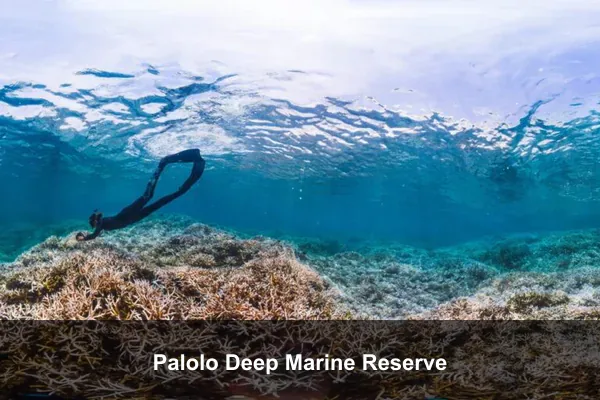 Palolo Deep Marine Reserve