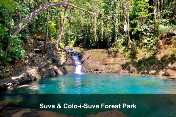 Suva & Colo-i-Suva Forest Park