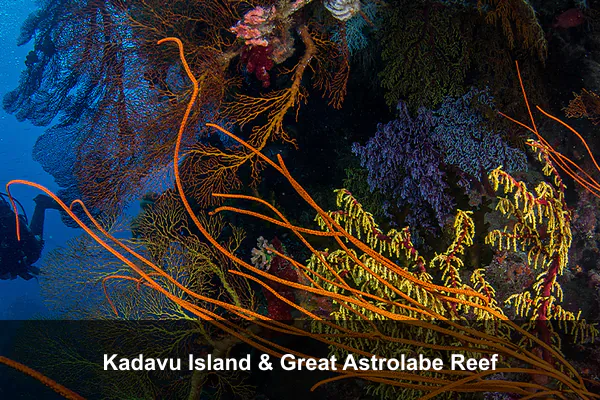 Kadavu Island & Great Astrolabe Reef
