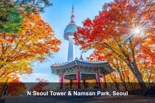 N Seoul Tower & Namsan Park, Seoul