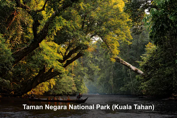 Taman Negara National Park (Kuala Tahan)