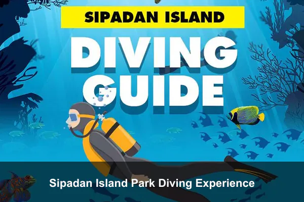 Sipadan Island Park Diving Experience