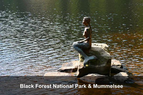 Black Forest National Park & Mummelsee