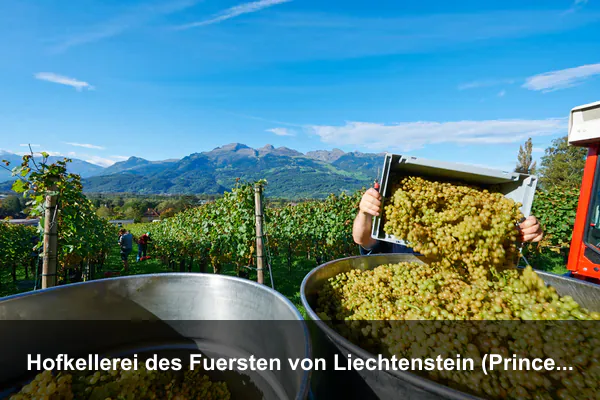 Hofkellerei des Fuersten von Liechtenstein (Prince's Winery)