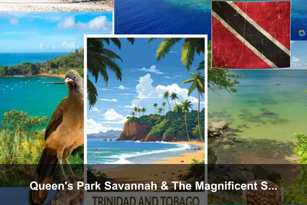 Queen's Park Savannah & The Magnificent Seven