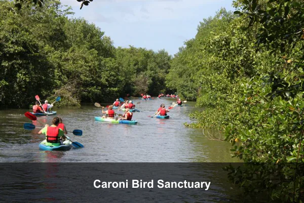 Caroni Bird Sanctuary