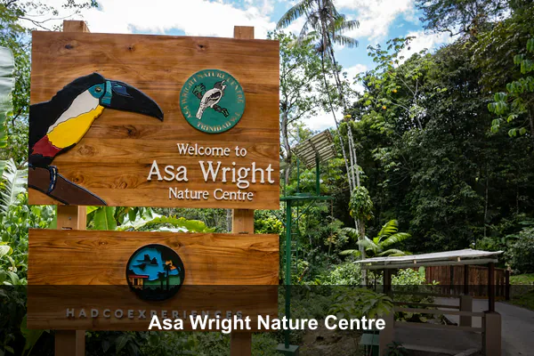Asa Wright Nature Centre