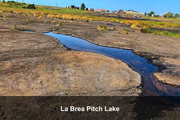 La Brea Pitch Lake