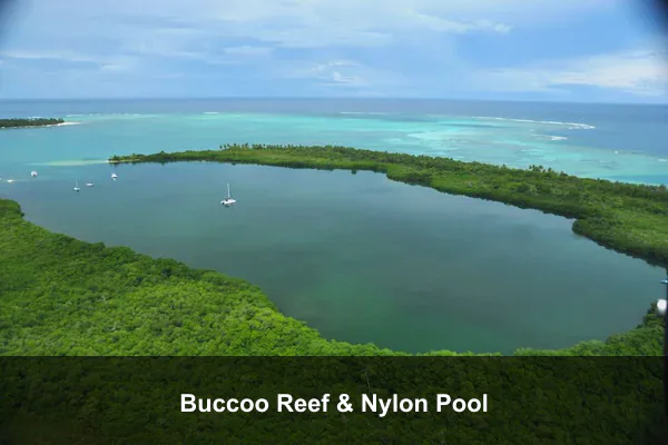 Buccoo Reef & Nylon Pool