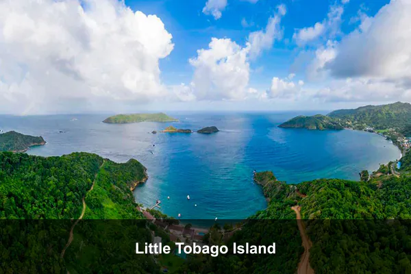 Little Tobago Island