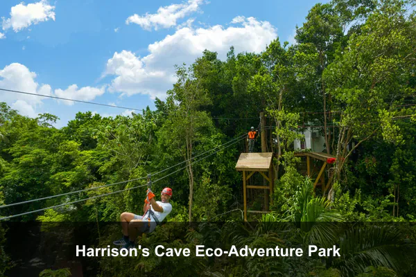 Harrison's Cave Eco-Adventure Park