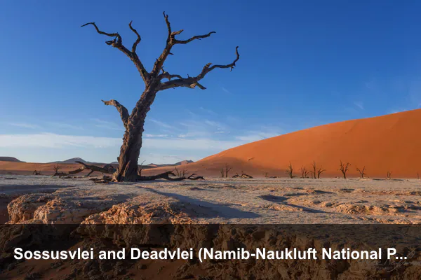 Sossusvlei and Deadvlei (Namib-Naukluft National Park)