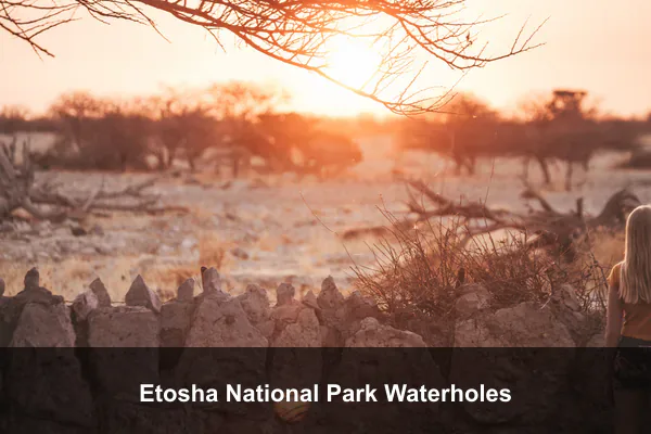 Etosha National Park Waterholes