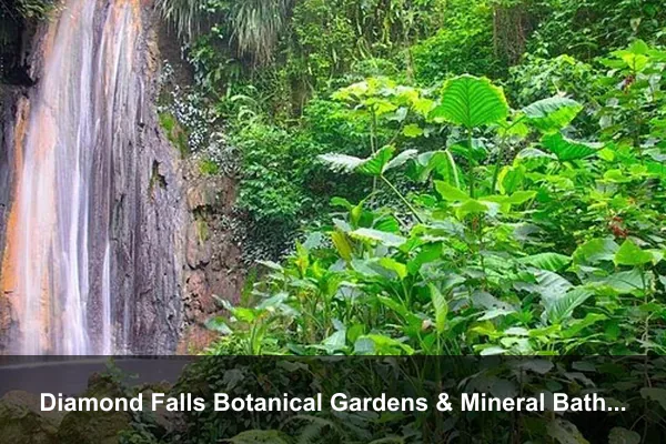 Diamond Falls Botanical Gardens & Mineral Baths