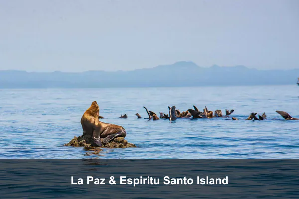 La Paz & Espiritu Santo Island