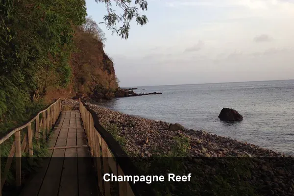 Champagne Reef