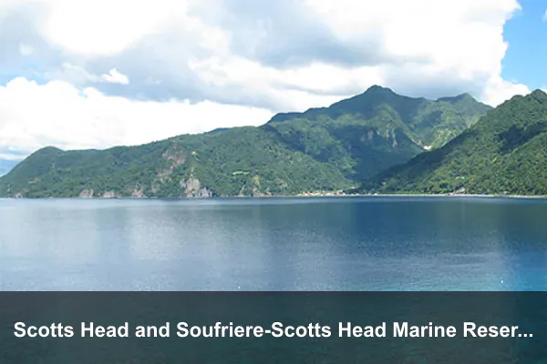 Scotts Head and Soufriere-Scotts Head Marine Reserve
