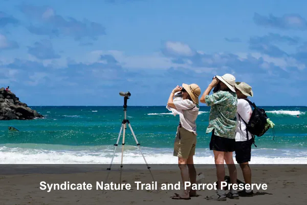 Syndicate Nature Trail and Parrot Preserve