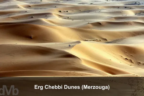 Erg Chebbi Dunes (Merzouga)