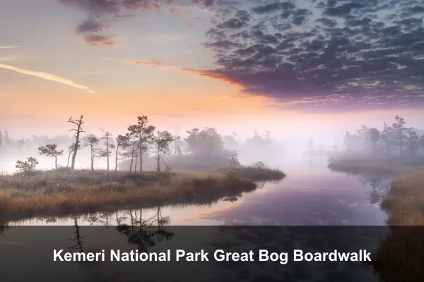 Kemeri National Park Great Bog Boardwalk