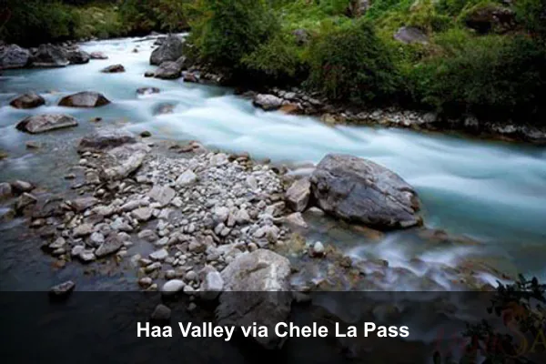 Haa Valley via Chele La Pass
