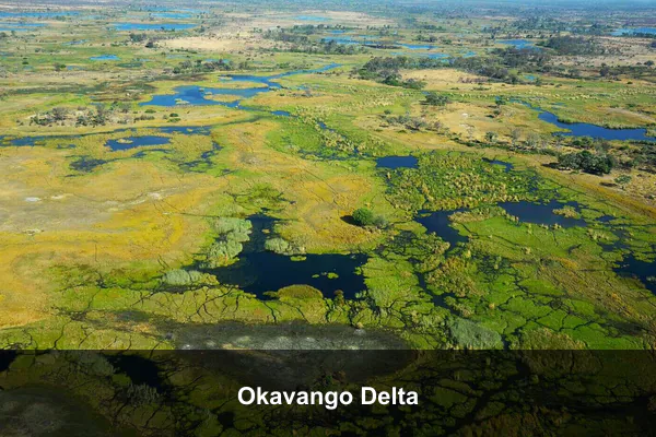 Okavango Delta