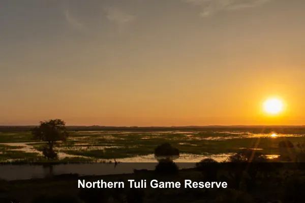 Northern Tuli Game Reserve