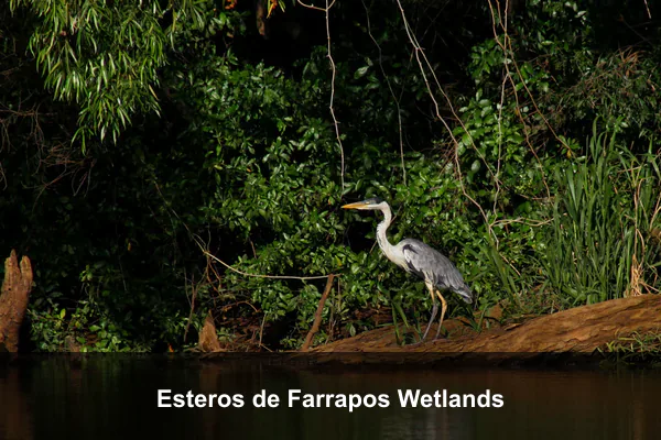 Esteros de Farrapos Wetlands