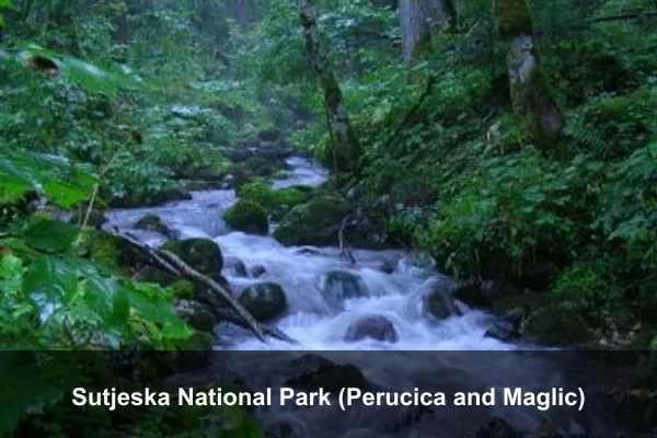 Sutjeska National Park (Perucica and Maglic)