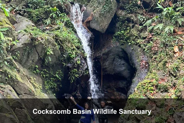 Cockscomb Basin Wildlife Sanctuary