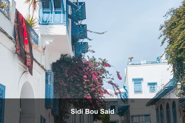 Sidi Bou Said