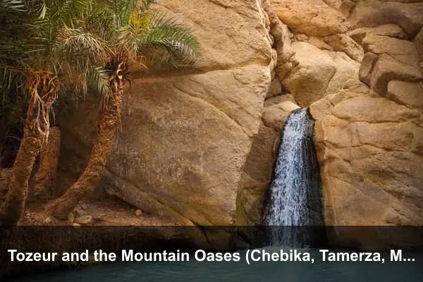 Tozeur and the Mountain Oases (Chebika, Tamerza, Mides)