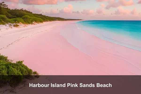 Harbour Island Pink Sands Beach