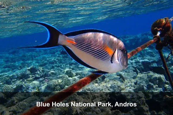 Blue Holes National Park, Andros