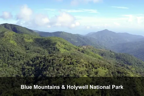 Blue Mountains & Holywell National Park